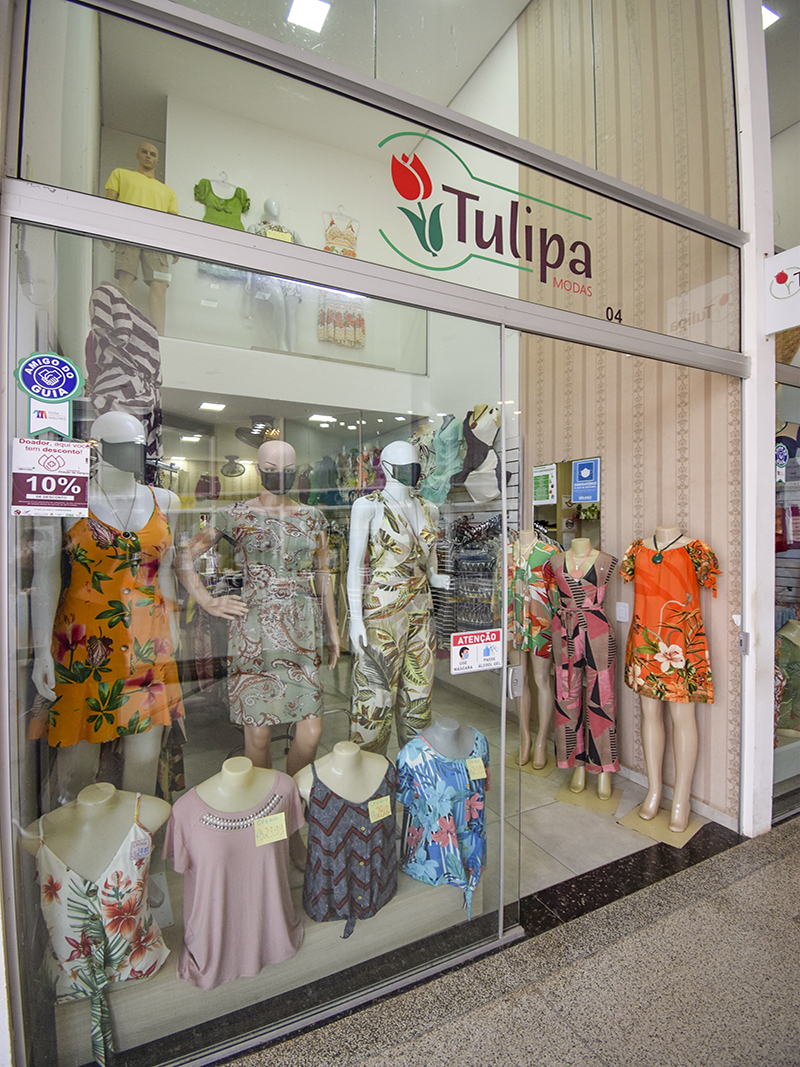 Tulipa